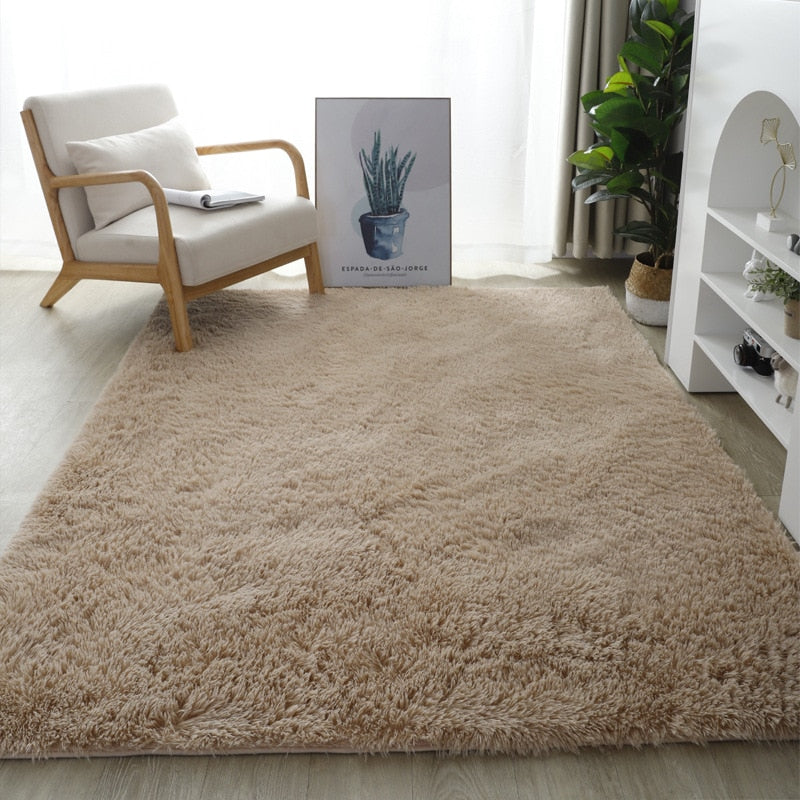 Shaggy Fluffy carpet