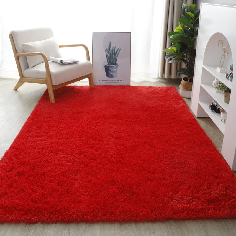 Shaggy Fluffy carpet