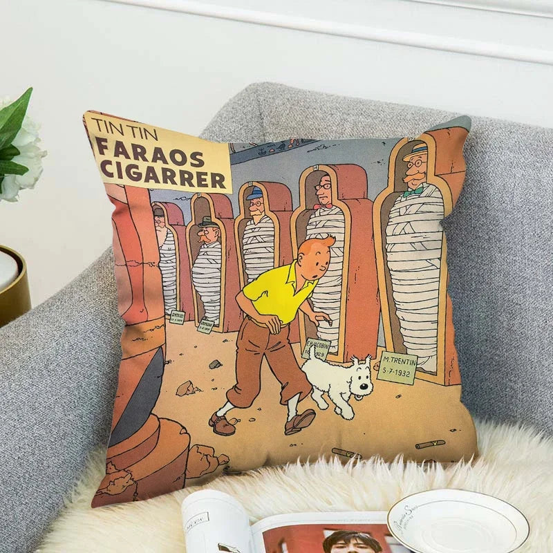 Housse de coussin TNTN