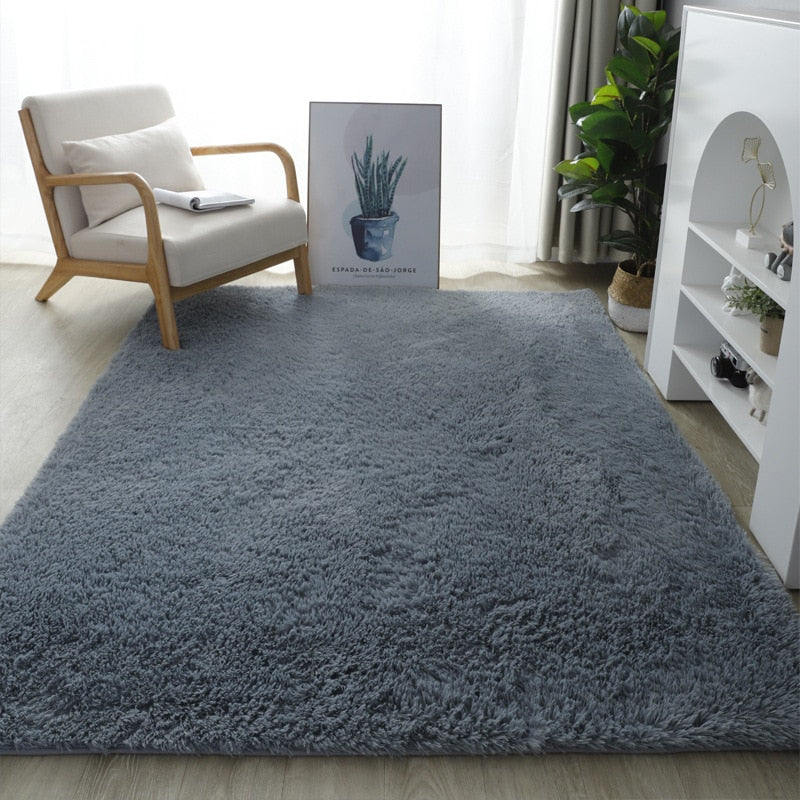 Shaggy Fluffy carpet