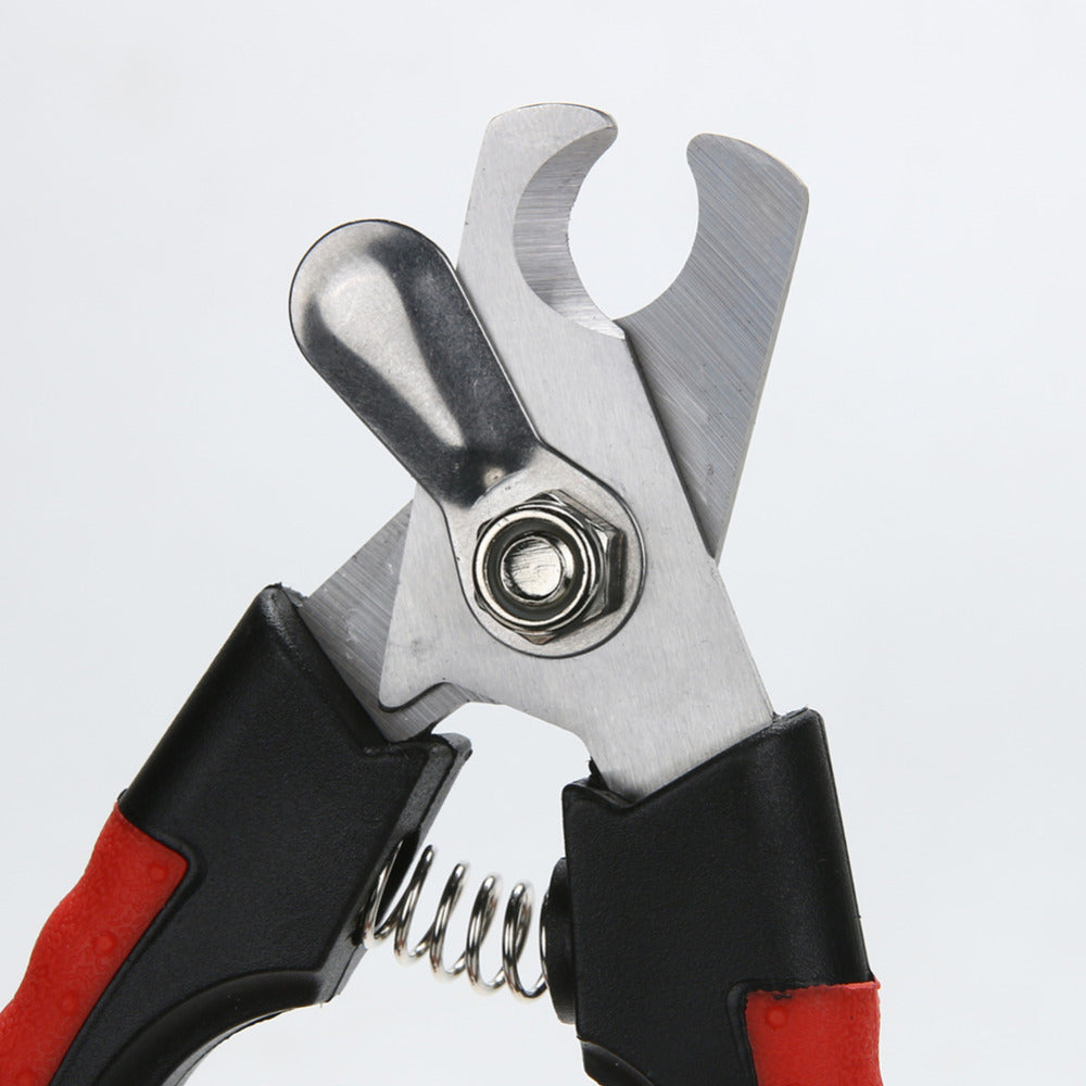 Cut and dog claws cut