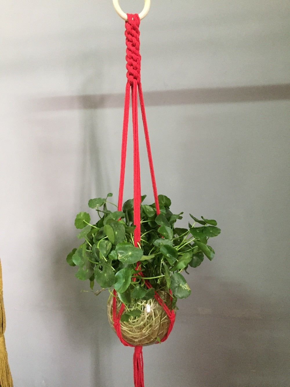 Plant support in colorful macrame