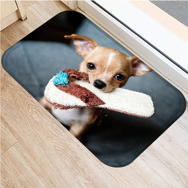 Entrance carpet with Dog IV/25 models