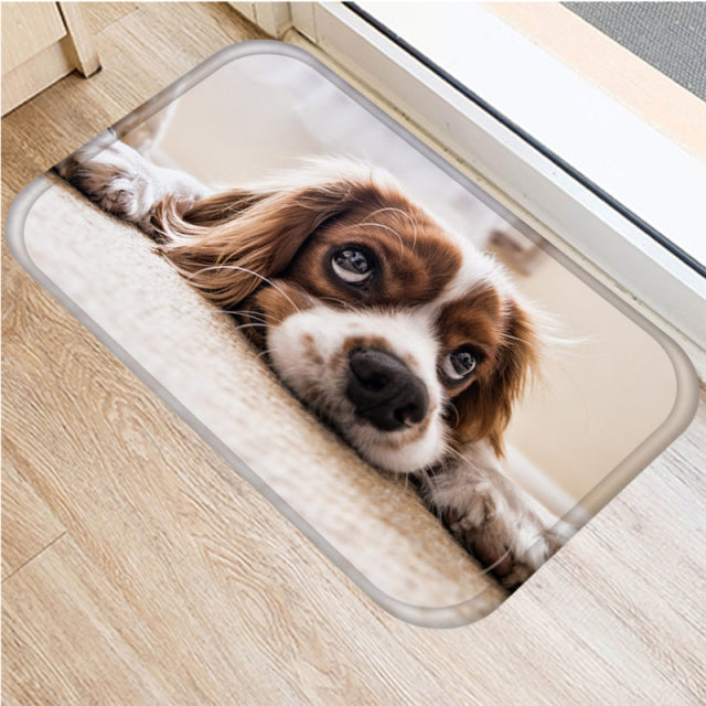 Entrance carpet with Dog IV/25 models