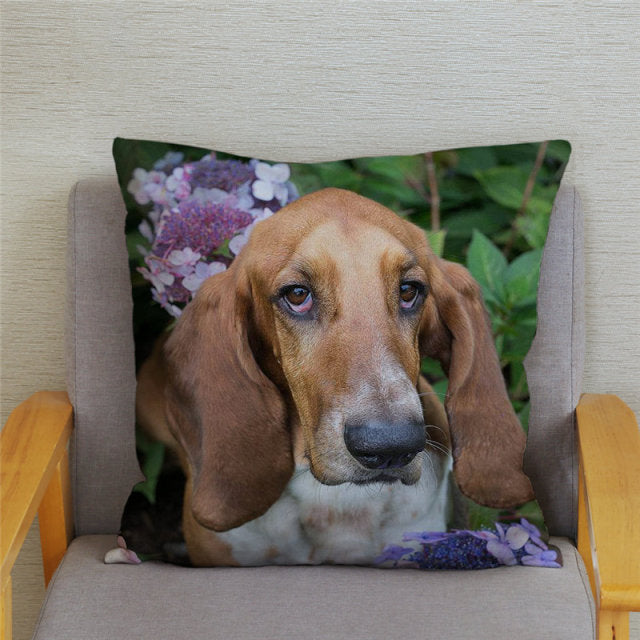 Housse de coussin Basset Hound