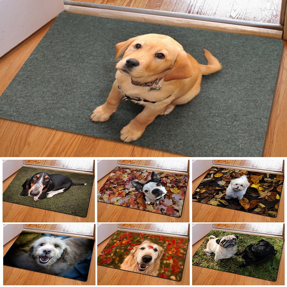Entrance carpet with dog