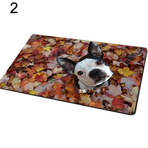 Entrance carpet with dog