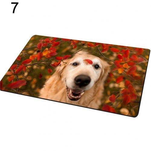 Entrance carpet with dog