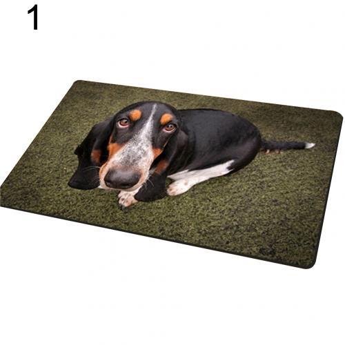 Entrance carpet with dog