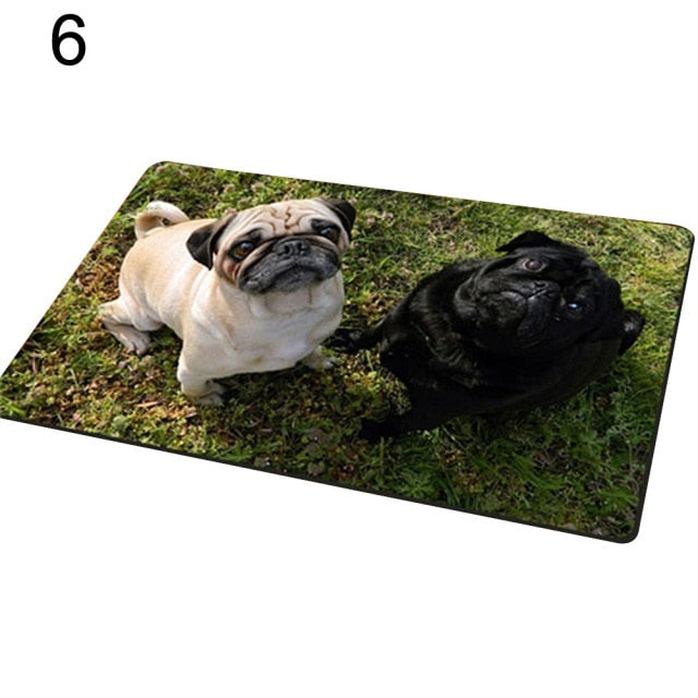 Entrance carpet with dog
