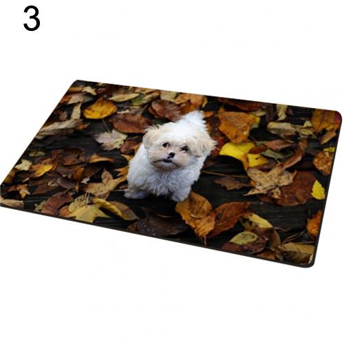 Entrance carpet with dog