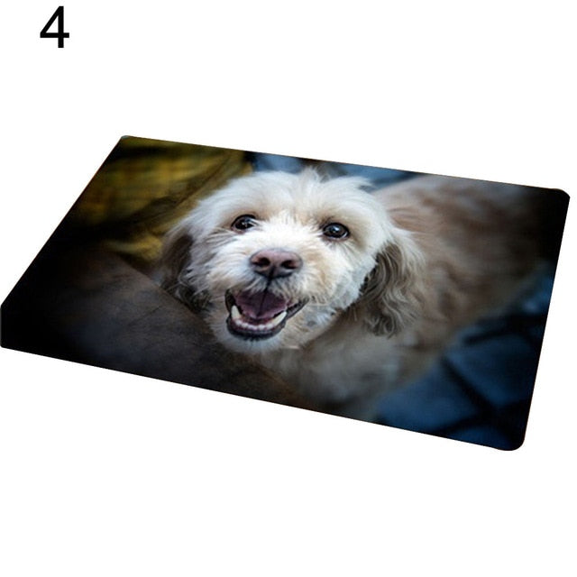 Entrance carpet with dog