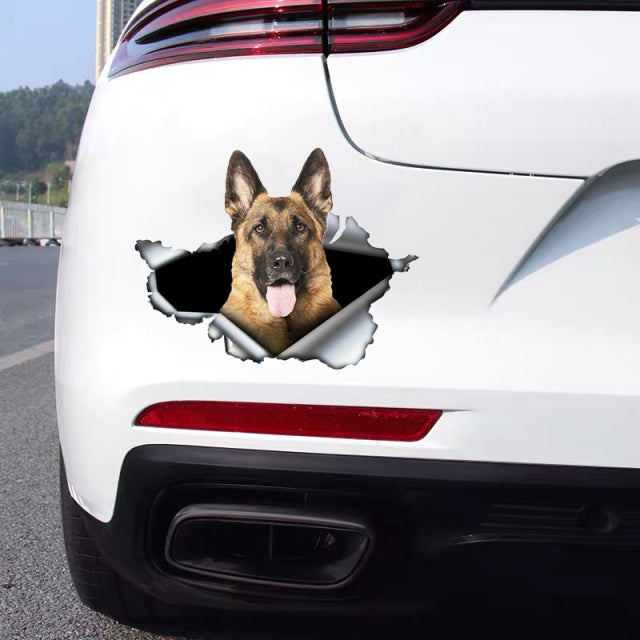 Autocollant pour voiture Berger Allemand