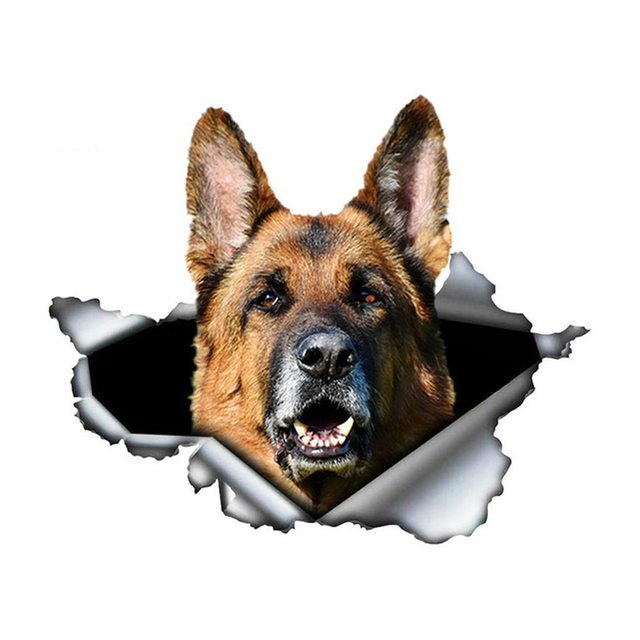 Autocollant pour voiture Berger Allemand\Autocollant pour voiture Berger Allemand