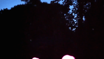 Flamand rose LED Neon à énergie solaire