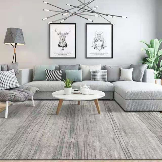 Tapis Moderne Living / 14 modèles