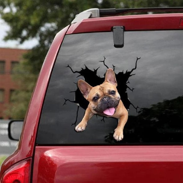 Autocollant pour Auto Dog Lover / 12 modèles
