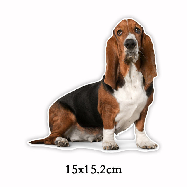 Autocollant voiture Basset Hound II