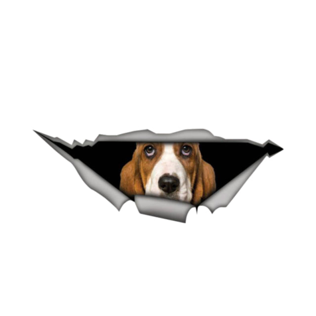 Autocollant voiture Basset Hound 3D
