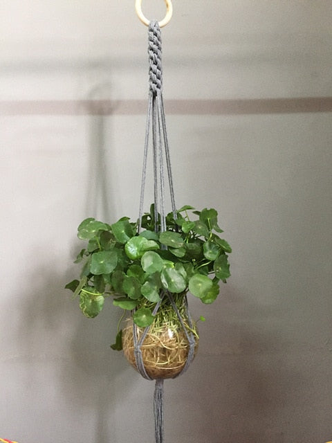 Plant support in colorful macrame