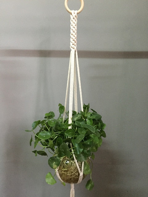 Plant support in colorful macrame