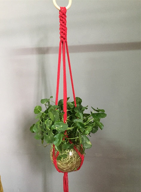 Plant support in colorful macrame