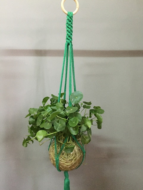 Plant support in colorful macrame