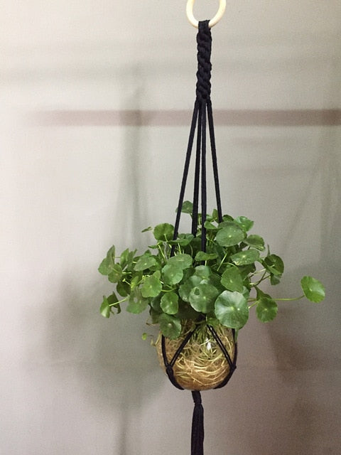 Plant support in colorful macrame