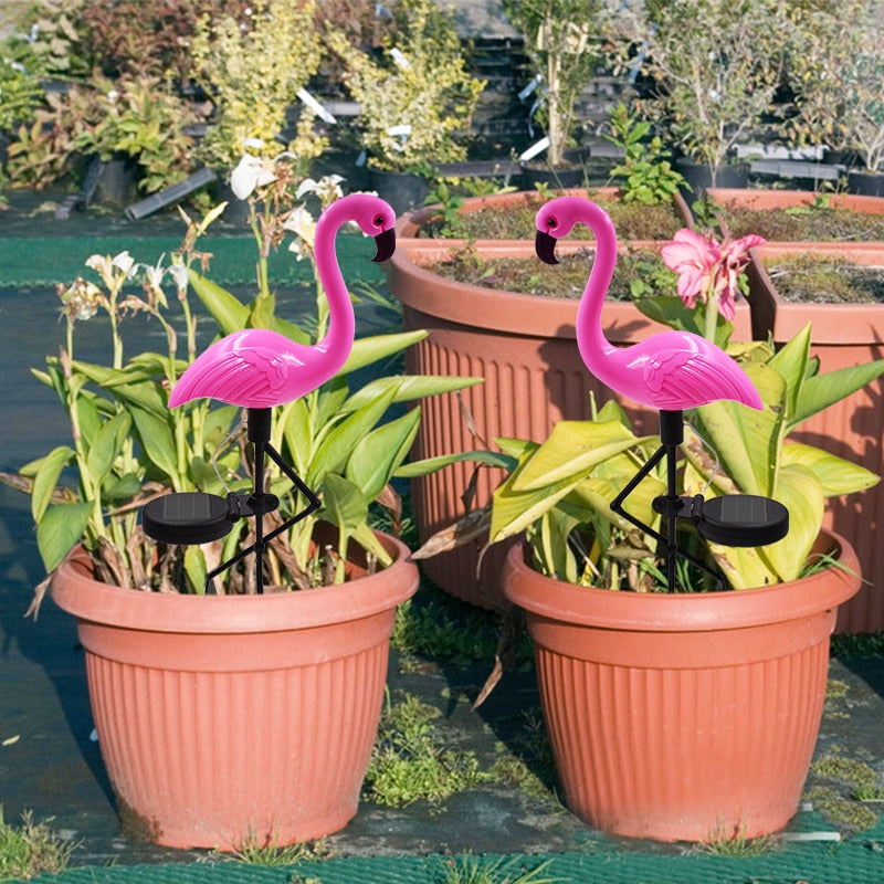 Flemish pink LED with solar energy