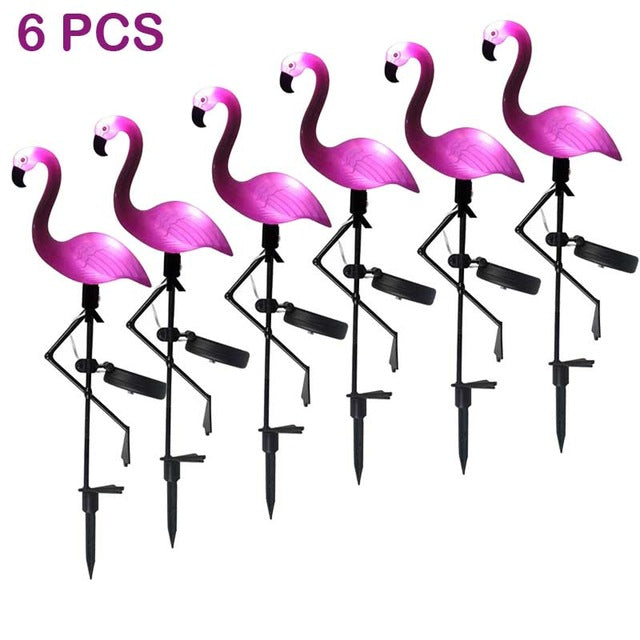 Flemish pink LED with solar energy
