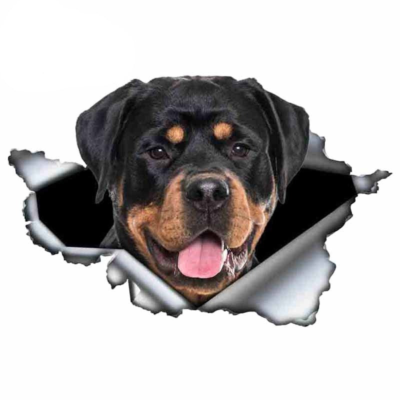 Autocollant pour voiture Rottweiler