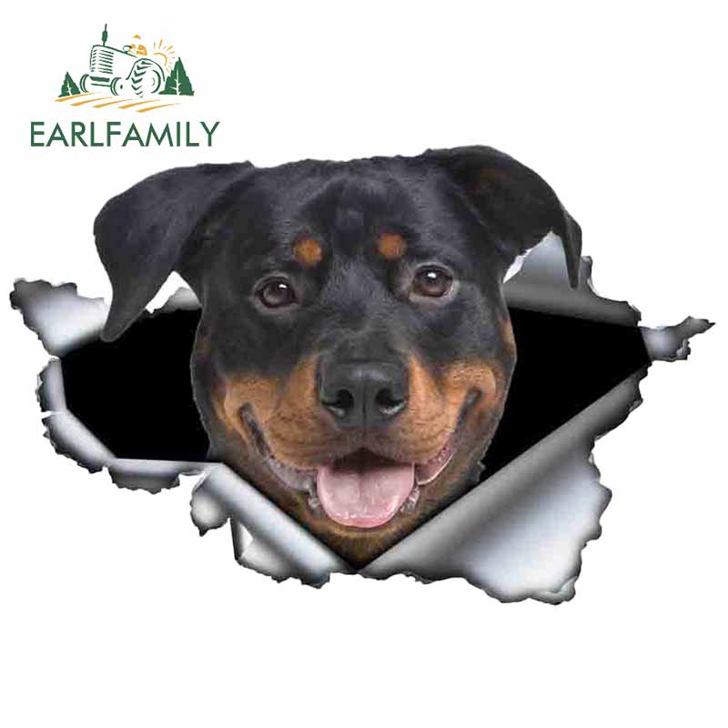 Autocollant pour voiture Rottweiler