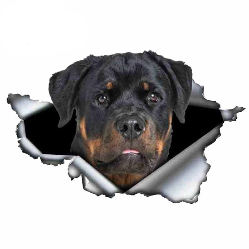 Autocollant pour voiture Rottweiler