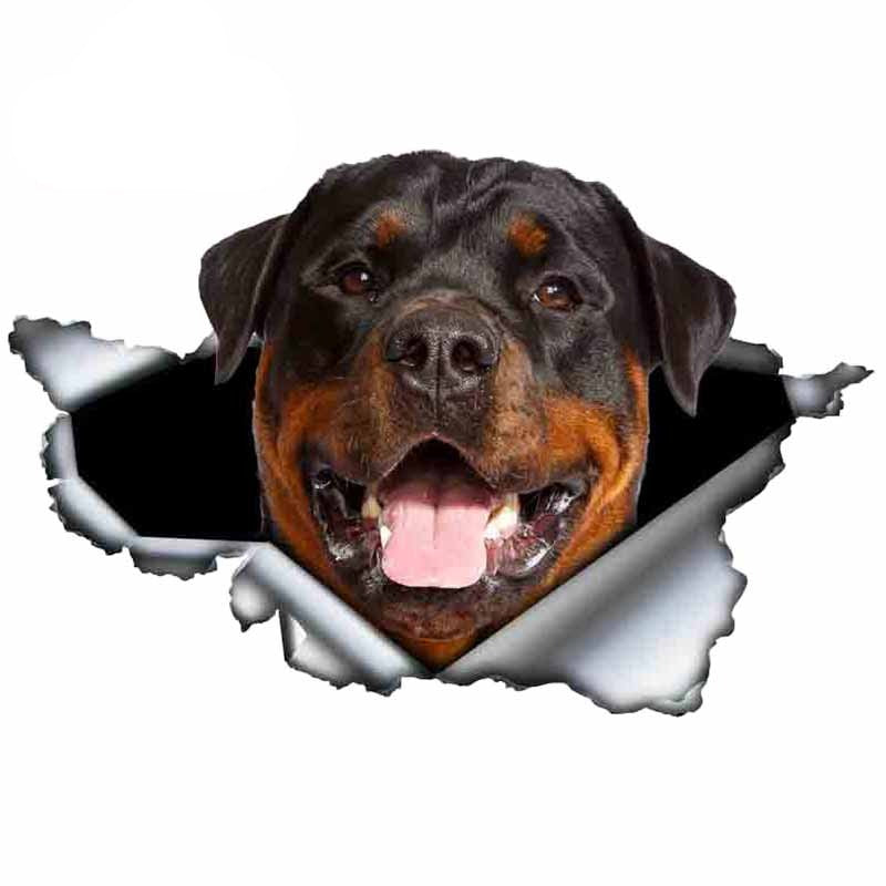 Autocollant pour voiture Rottweiler