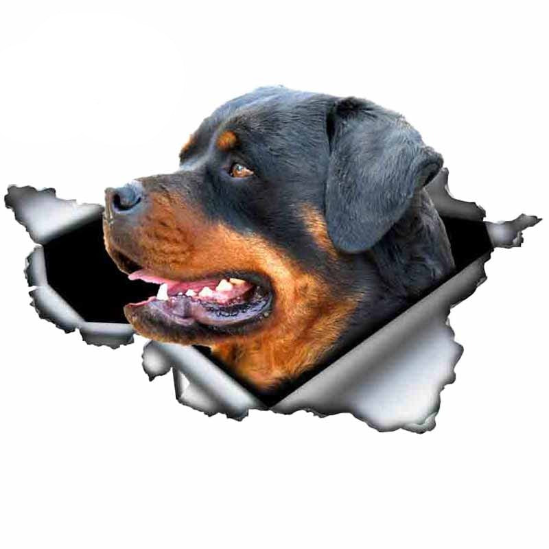 Autocollant pour voiture Rottweiler