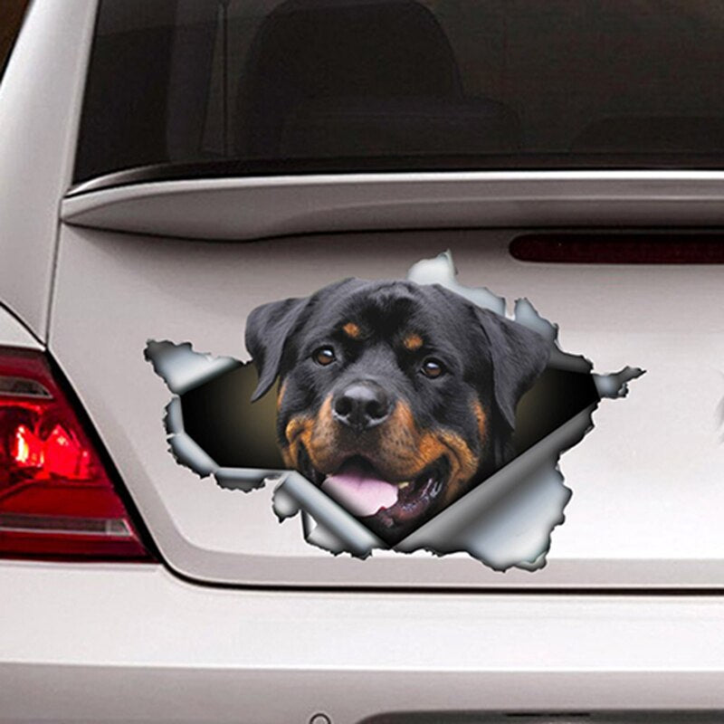 Autocollant pour voiture Rottweiler