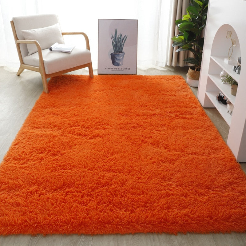 Tapis  Shaggy Fluffy