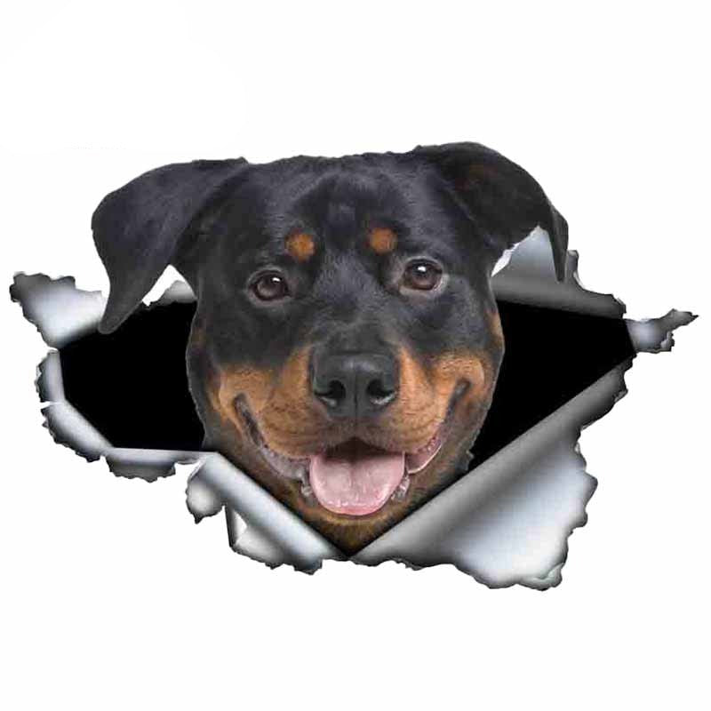 Autocollant pour voiture Rottweiler