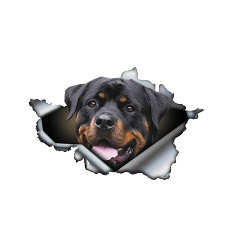 Autocollant pour voiture Rottweiler