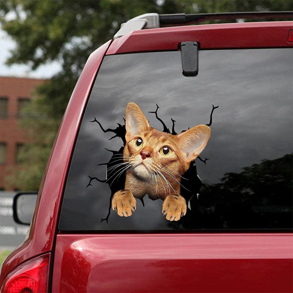 Autocollant pour voiture Cat lover