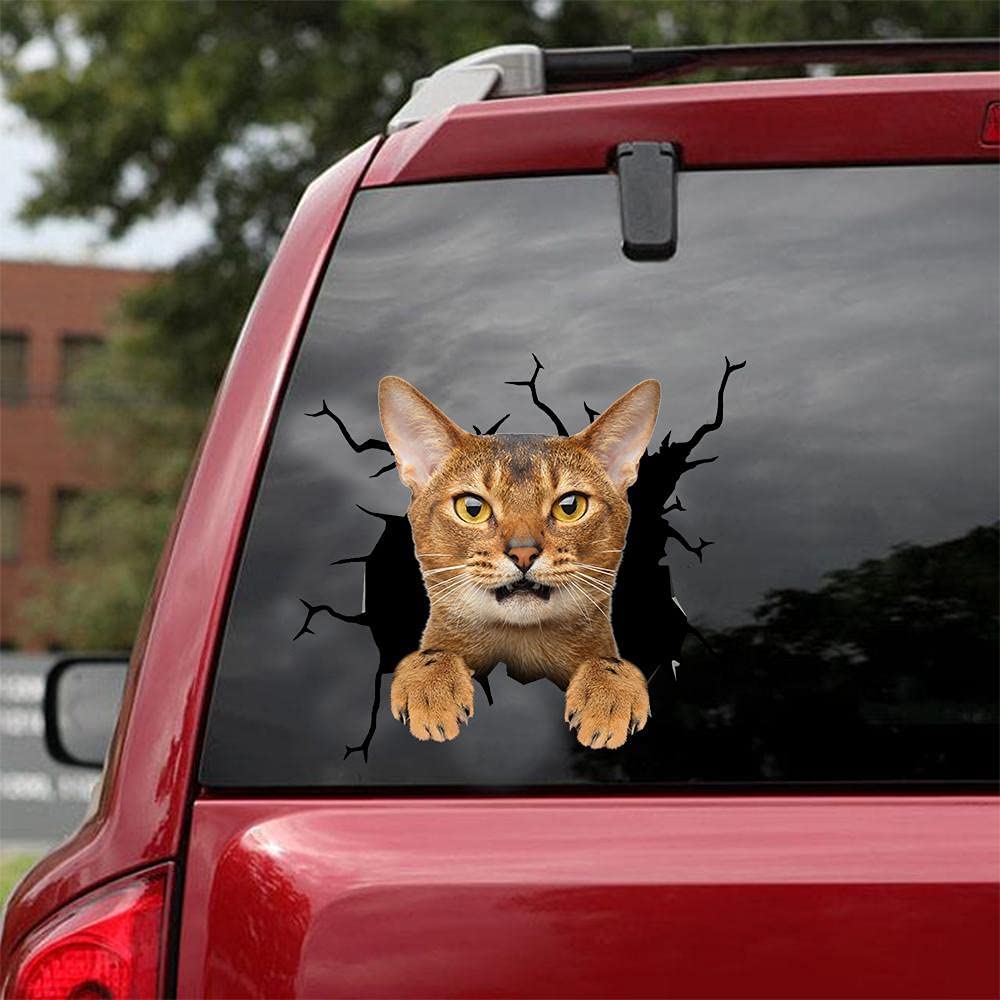 Autocollant pour voiture Cat lover