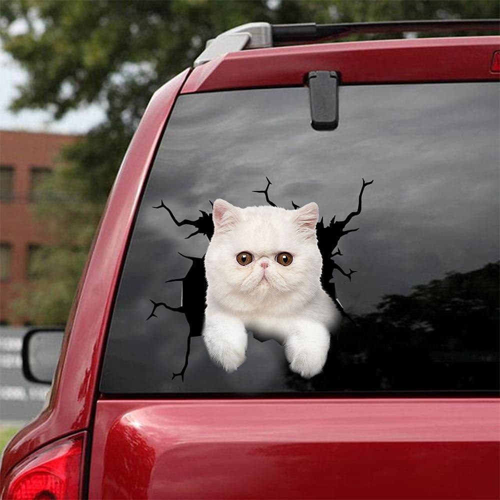 Autocollant pour voiture Cat lover