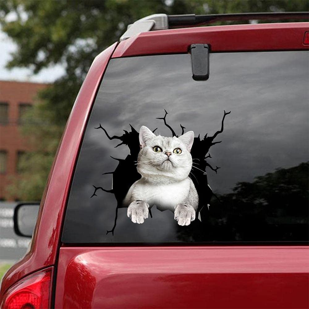 Autocollant pour voiture Cat lover