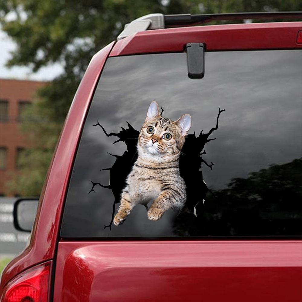 Autocollant pour voiture Cat lover