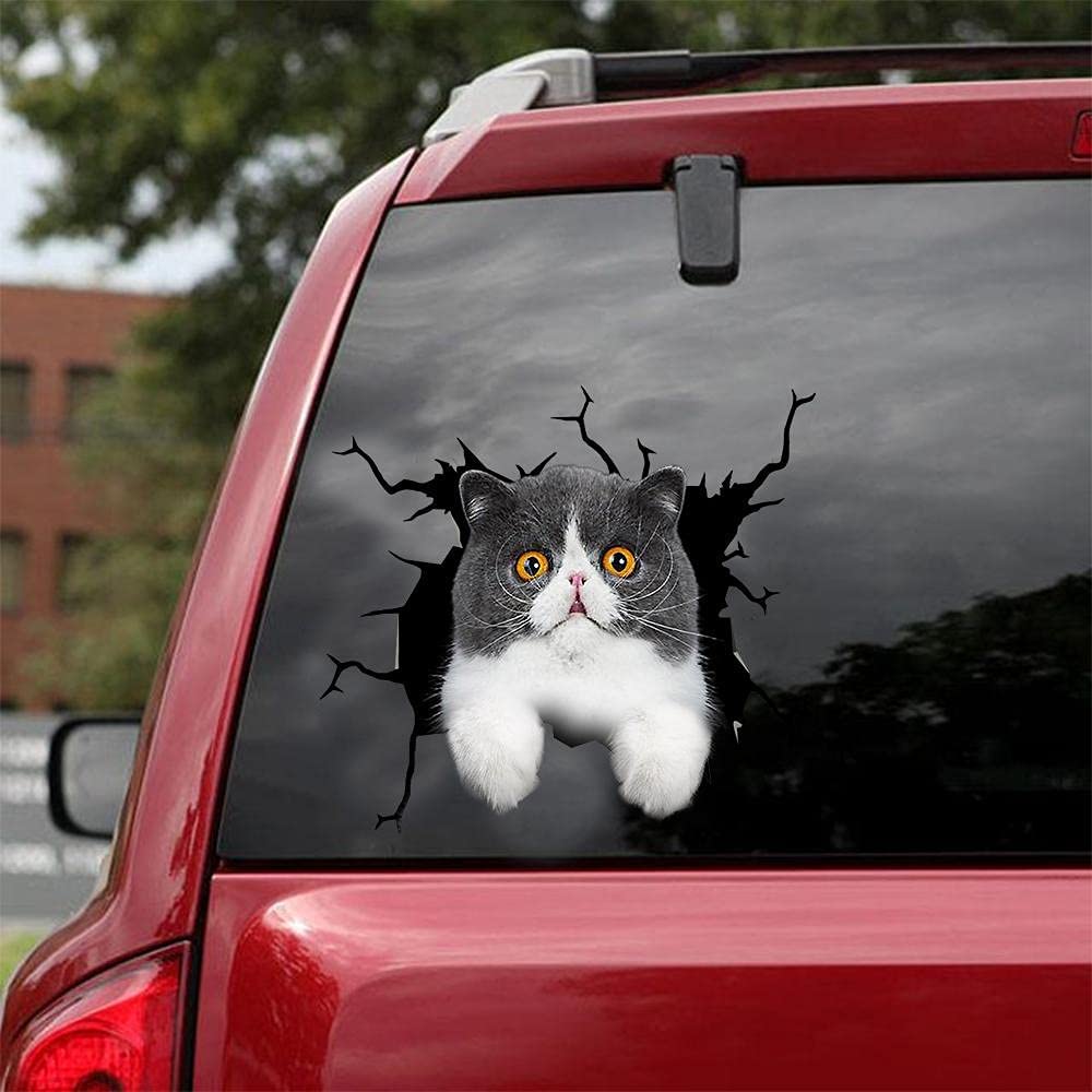 Cat lover car sticker