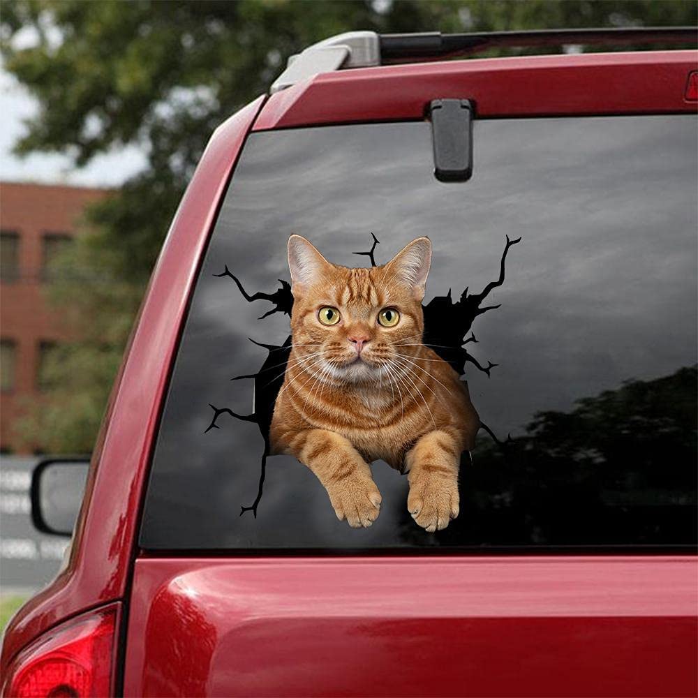 Cat lover car sticker