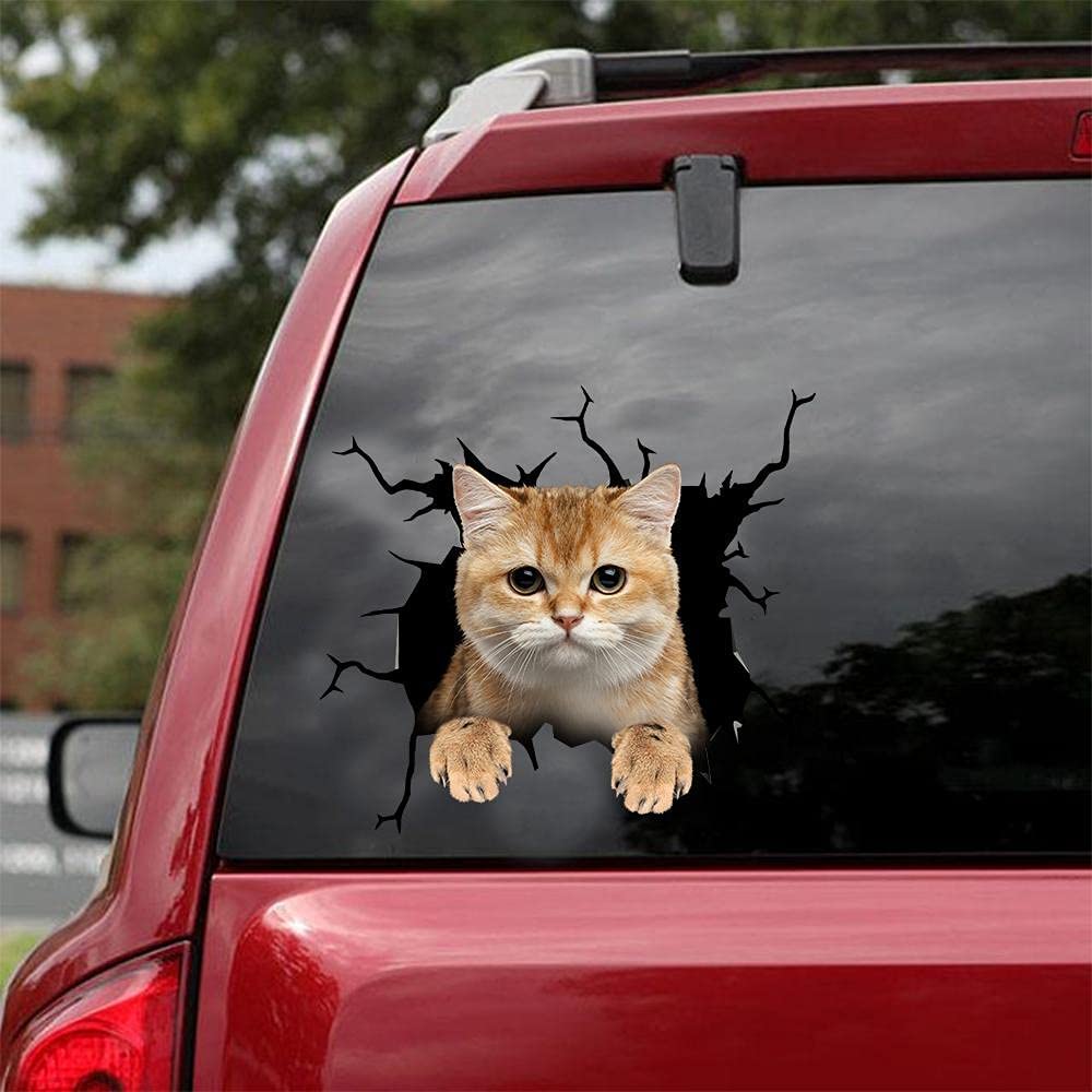 Autocollant pour voiture Cat lover