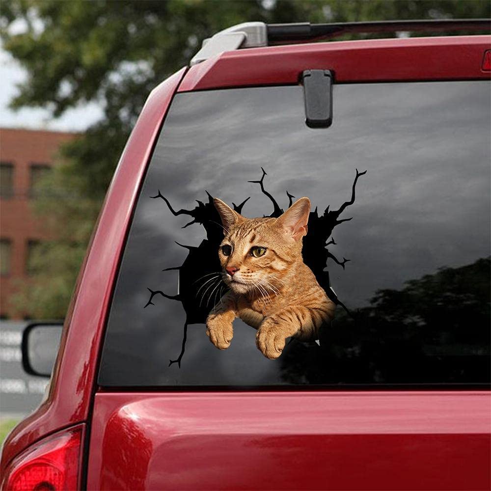 Cat lover car sticker