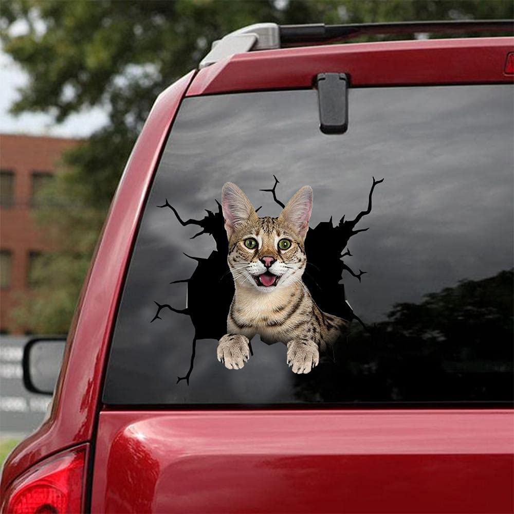 Autocollant pour voiture Cat lover