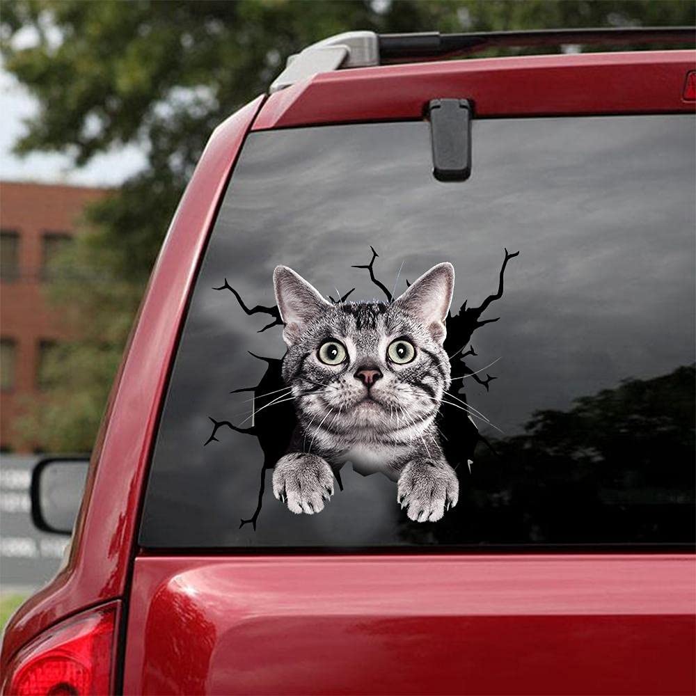 Cat lover car sticker